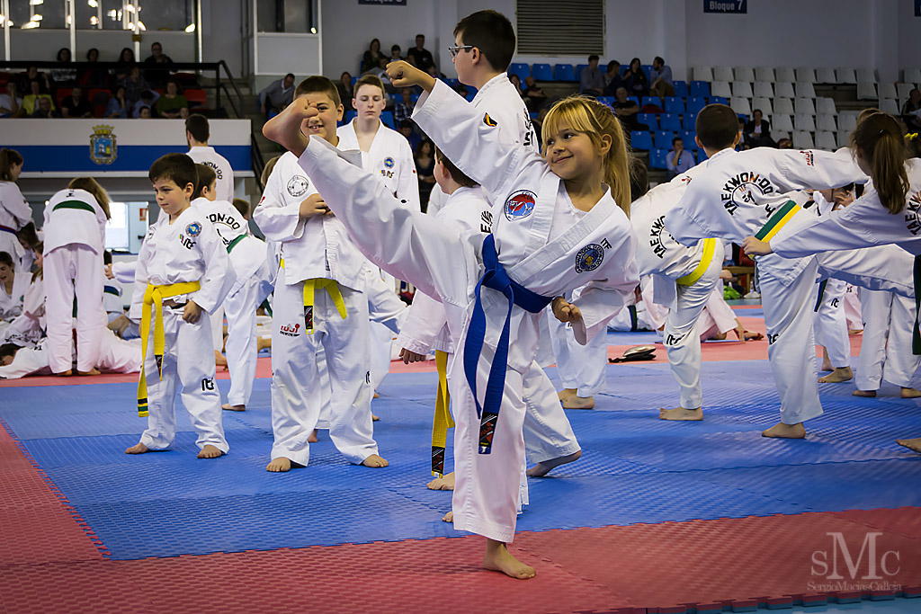 DIA DEL TAEKWONDO ABRIL 2017_3936.JPG